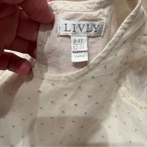 Livly fairy dress size 2-3 - Picture 2 of 5